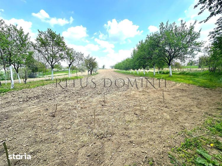 Teren Intravilan de Vanzare, Cetariu, 5450mp - 2