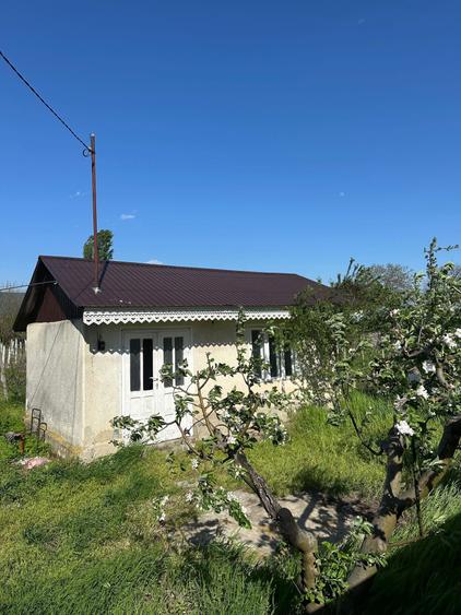 Vand loc de casa - 2