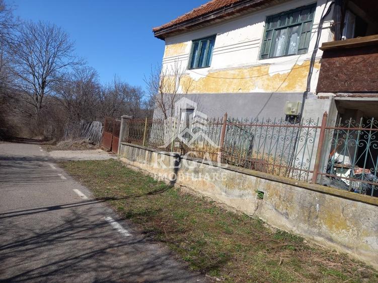 Două case de vânzare – Cerisor – teren generos 6996 mp - 2