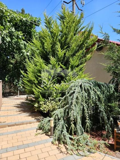 Vila P+1+ pod in Mamaia Sat- Locul unde linistea se simte acasa - 16