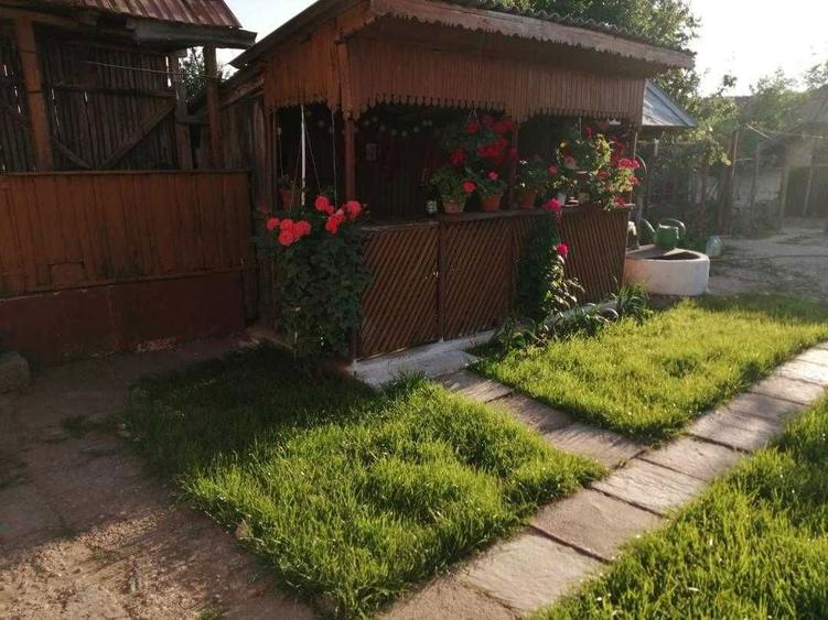 Casa + teren (6116 mp) Cucuieti, Verguleasa (Olt) ideal locuinta - 2