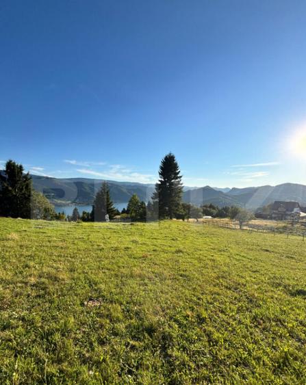 Teren de vanzare in Colibi?a oportunitate de investi? - 3