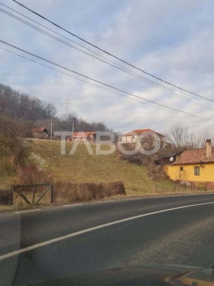 Teren intravilan de vanzare in Sasciori jud Alba - 2