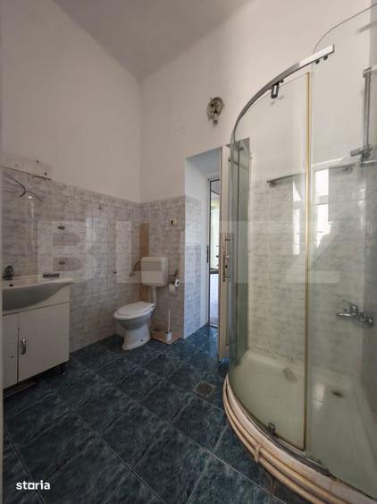 Cladire istorica, 175mp-5 camere, etaj 1, terasa si balcon, zona Iosef - 9