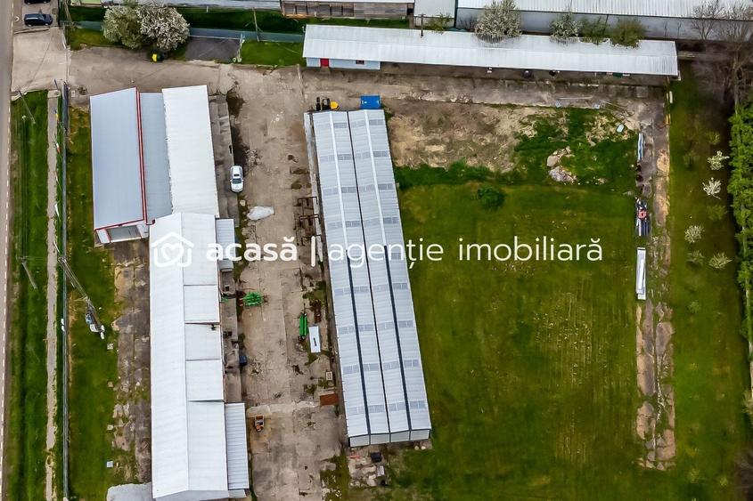 Hale depozitare/producție 2.000 mp si 10.000 mp teren în Pecica - 4