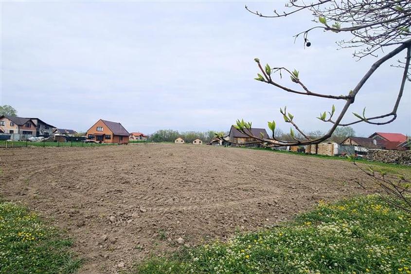 1.700mp intravilan,acces usor,intre case,ideal 2 locuinte/investitie,Lunca Calni - 2