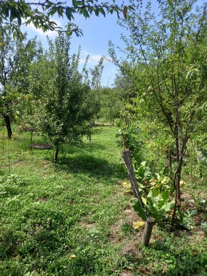 vand casa si teren,acte la zi,apa,lumina,gaze,put - 8