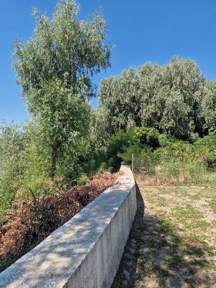 Teren Construcții intravilan de 5100 mp, în Pătlăgeanca