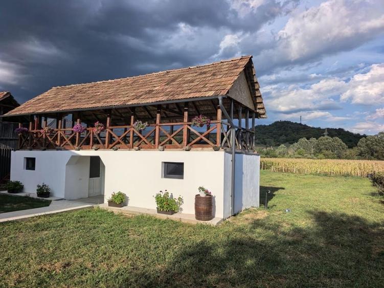 Casă cu 3 camere în Central