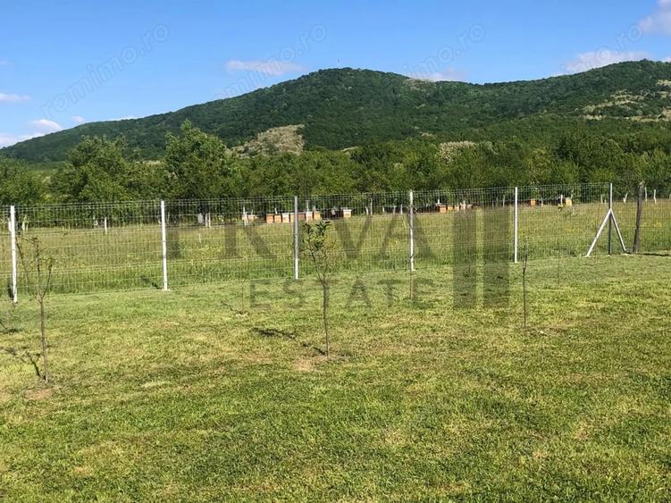 Teren de 800 mp, în Botinești