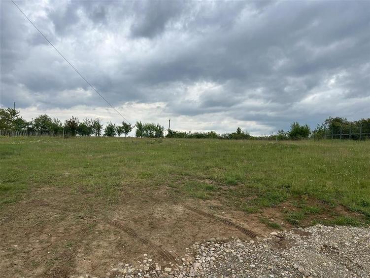 RECO , teren intravilan, Emil Isac, dealuri Oradea - 4