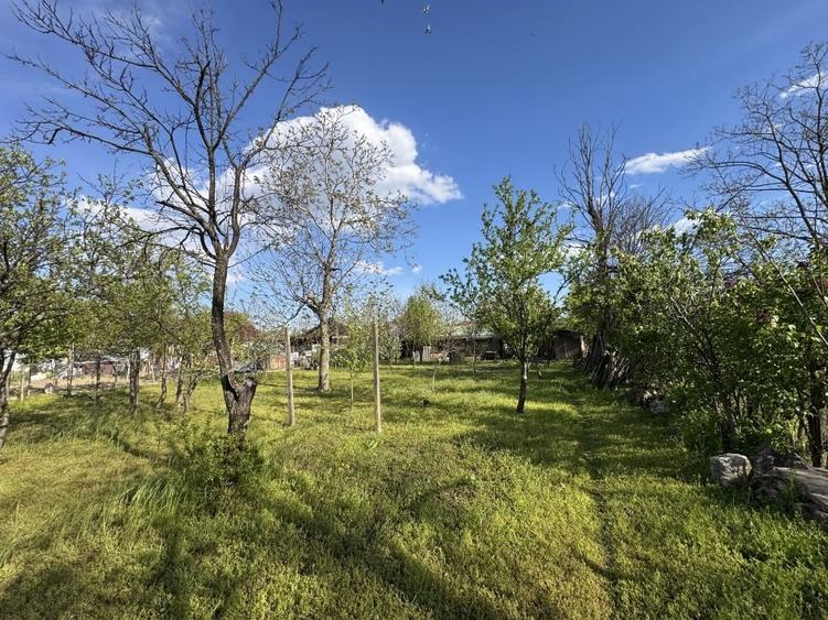 Casă + teren 1600 mp – Ulmeni, Buzău - 15