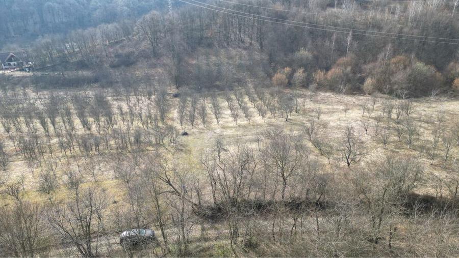 Teren intravilan Valea Cenchi constructii case pensiune caransebes - 6