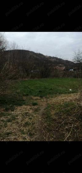 Casa de vanzare cu 21 ari de teren intravilan - 2