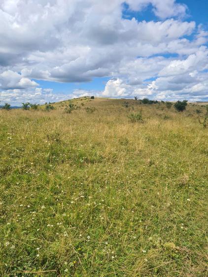 Teren extravilan 2500m2. Panorama superba.-Salicea - 8