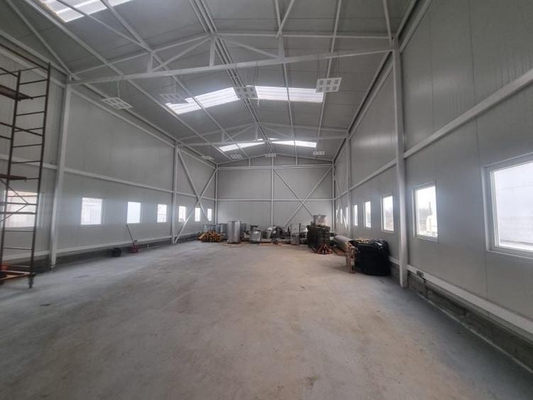 Magurele,hala 200 mp ( 10x20), inaltime h=6 m, 600 mp teren, - 1