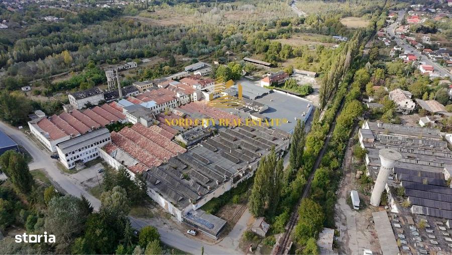 Platforma Industriala-8 ha -Fabrica-Hale Productie-21.500 mp - 1