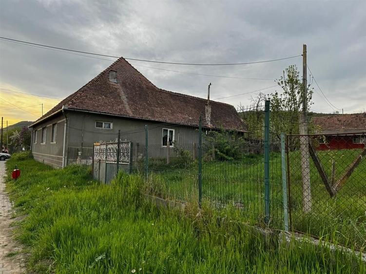 Teren de vanzare 8114 mp si  casa   in Coroisanmartin-Mures - 1