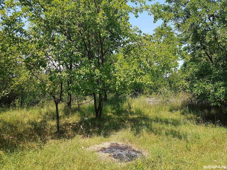 Teren intravilan de vanzare - 5
