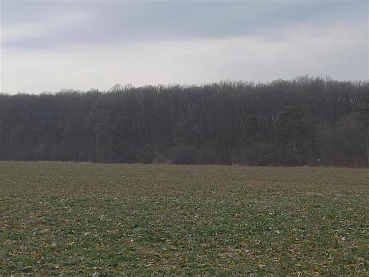 VANZARE TEREN INTRAVILAN BUFTEA | ultimele loturi | 500mp/lot | pentru case | st - 12