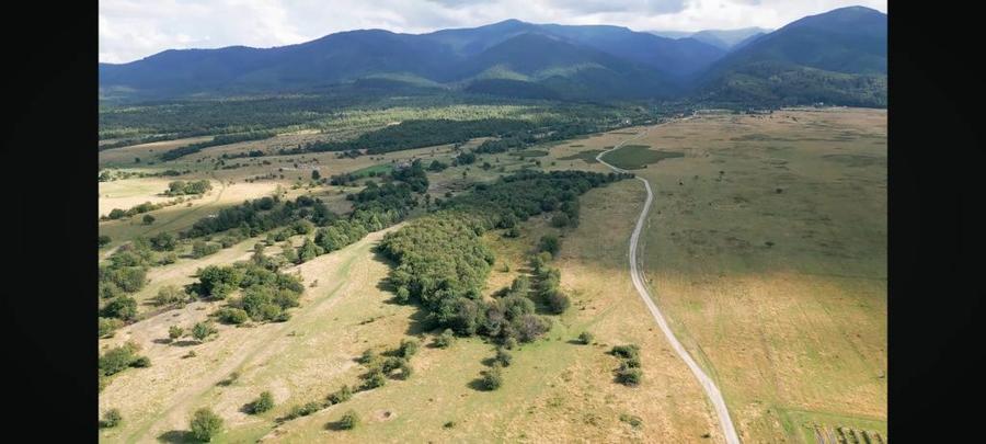 Vand urgent teren 4500 m2 , La munte , aproape de parau - 2