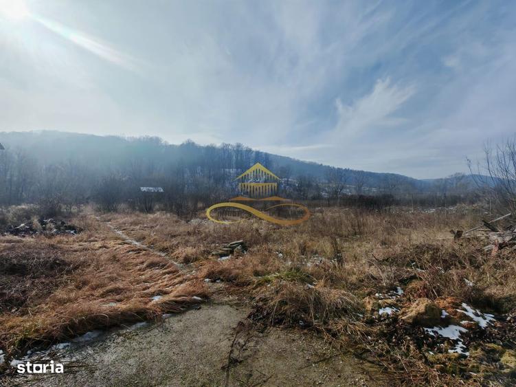 Casa de vanzare in Luncani - 3