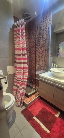 Proprietate deosebita cu terasa de 47 mp - Parcul Regina Maria - 19