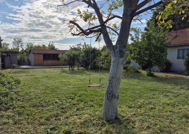 Casa batraneasca , foisor si teren de vanzare - 7