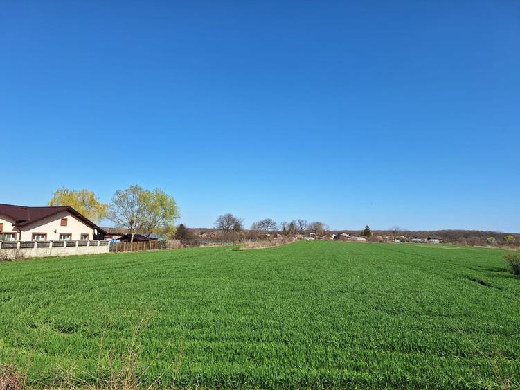 Ocazie!! deschidere 41m la DN1, pretabil vile/magazin/casa particulara - 1