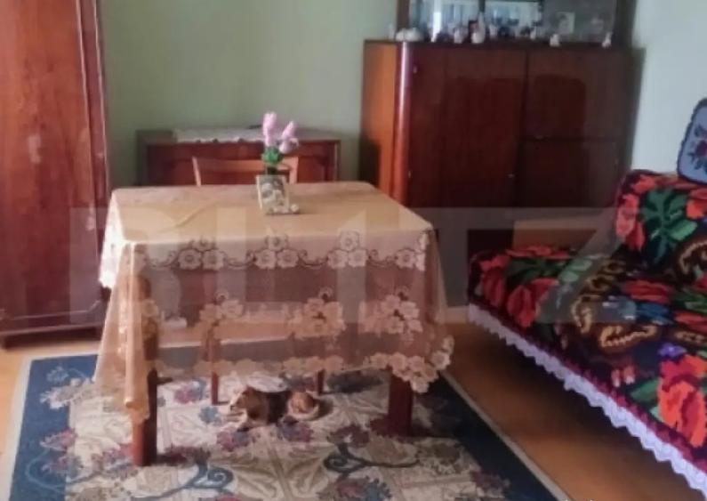 Oportunitate investi?ionala Casa cu teren extins in - 16