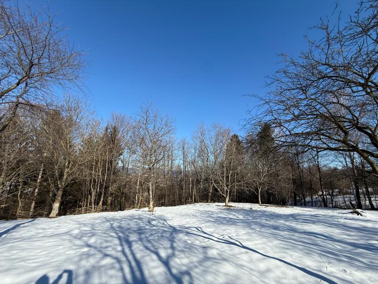 Teren intravilan 763 mp in zona Bran-Tohanita,judetul Brasov - 5