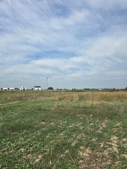 Mosnita Veche - 11 parcele - 10800 mp- CF individuale - 2