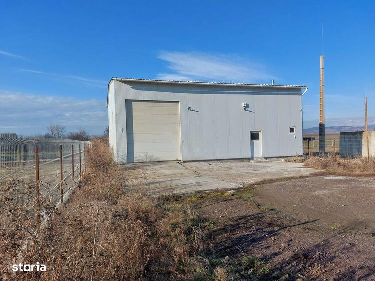Hala 172 mp + teren 968 mp - 2