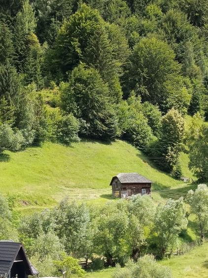 Teren intravilan - 3