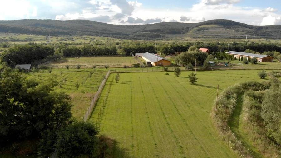 Lac Piscicol cu teren 7,5 HA de vanzare in Jud Sibiu la 10 km de Sibiu - 7