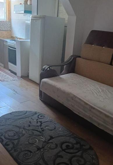 Casa cu curte proprie/ metrou Brancoveanu/Parc Tineretului - 2