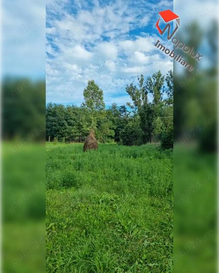 Teren pentru constructii in comuna Ciurila - 6