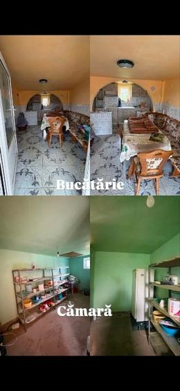 Casă + teren 2319 mp în centrul satului Sacoșu Mare, aproape de Lugoj - 8