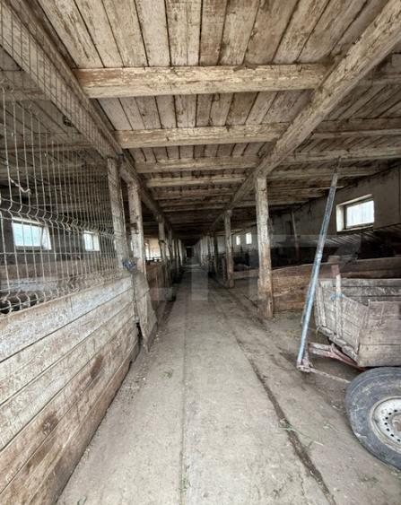 Ferma de Vanzare in judetul Timis, la nord est de Timisoara, - 32