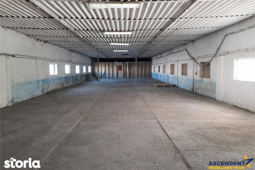 Hala industriala versatila,spatii cazare, platforma betonata,Halchiu,B - 5