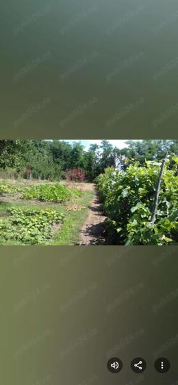 Casa batraneasca in Sarulesti jud..Calara?i.1600 m. Pre? negociabil. - 1