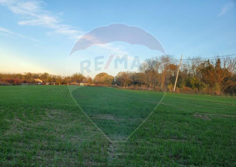 Teren 1,000mp Ciolpani / Strada Catunului - 3