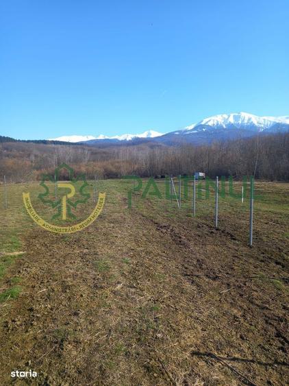 Vindem teren Sibiu, Valea Lupului, priveliste deosebita - 7