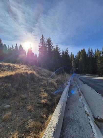 Teren Dichiu Transbucegi - 4