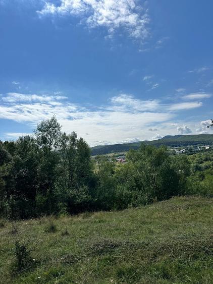 Teren 3.552 mp de vanzare (scrie pe whatsapp) Marginea, zona Dealu Fatului - 7