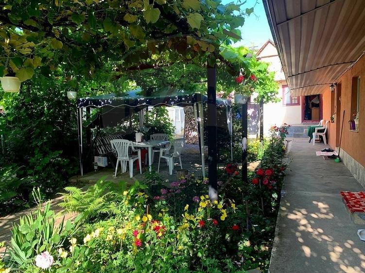 Casuta de la tara - 9