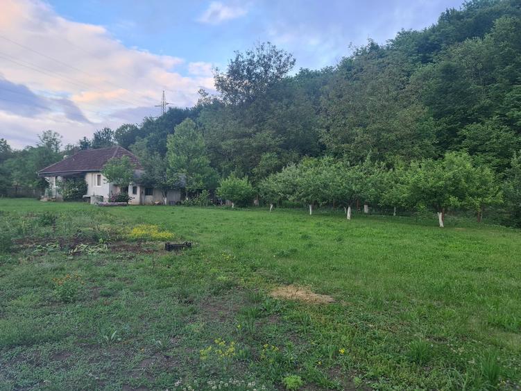 Vand casa cu gradina - 1