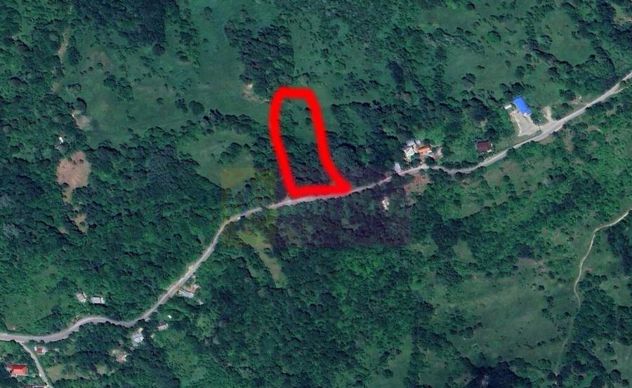 Teren intravilan de vanzare in Telega - 19