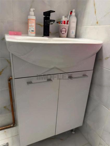 Comision 0! Studio modern-Vedere panoramica la lac-Lacul Plumbuita - 3