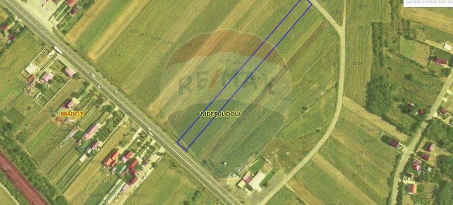 Teren 4 948 mp Bradesti / Racarii de Jos - 4